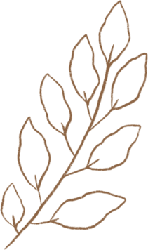 demo attachment 294 golden leaf 1