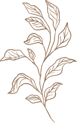 demo attachment 293 golden leaf